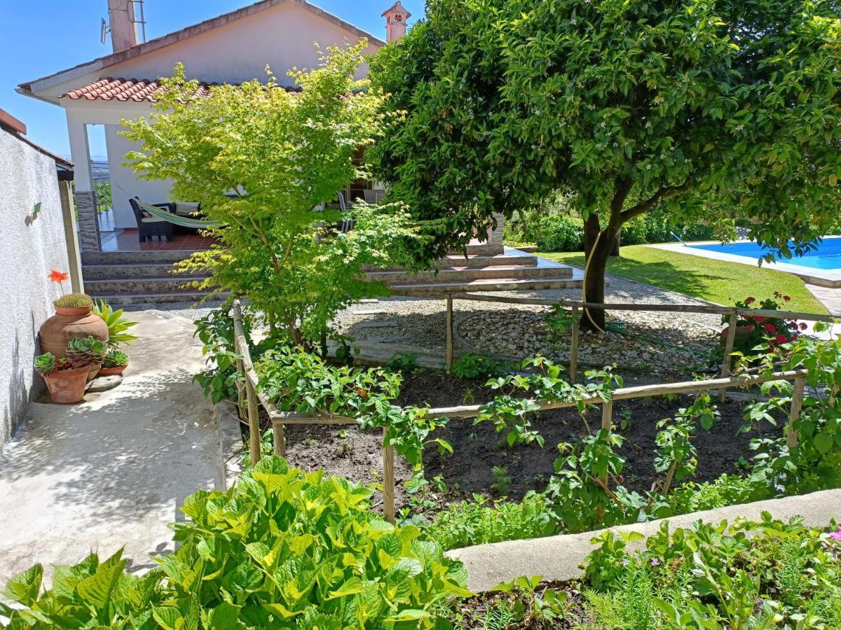 Casa Da Gardunha Villa Corticada  Eksteriør bilde